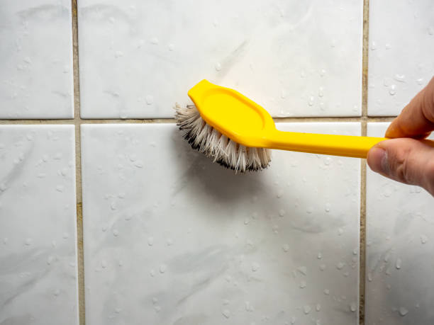 Pea Ridge, WV Mold Remediation Company