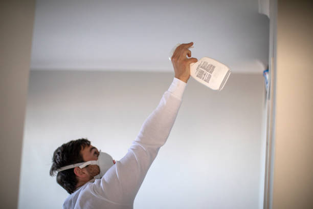 Best Mold Testing and Inspection Services in Pea Ridge, WV