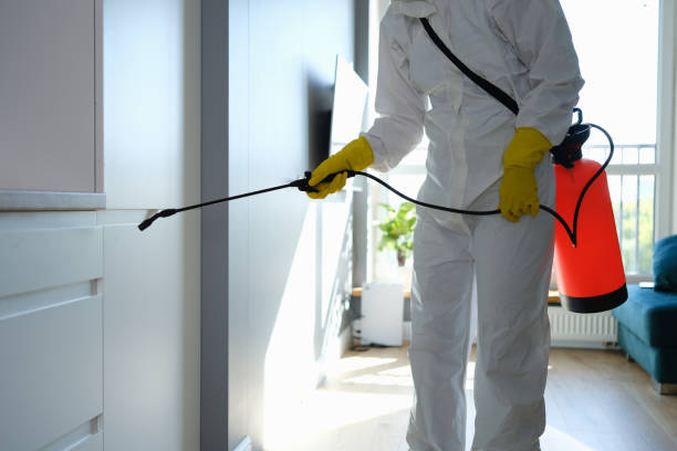 Best Industrial Mold Remediation in Pea Ridge, WV