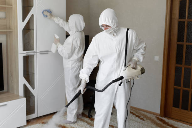 Best DIY Mold Remediation Support Services in Pea Ridge, WV